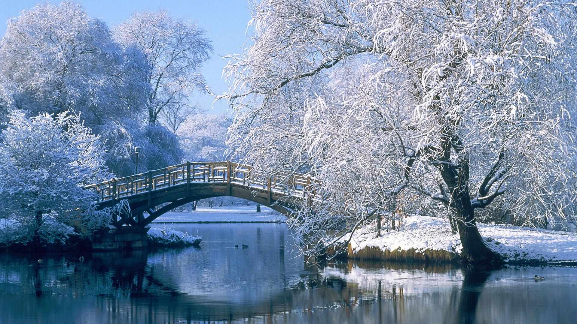 Central Park Bridge in Winter